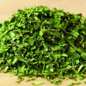 cilantro
