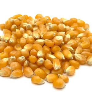 gourmet gold