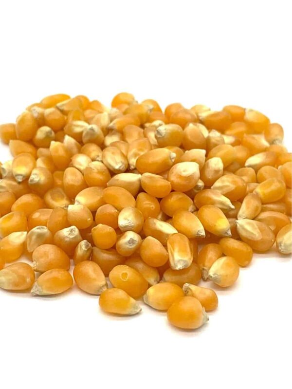 gourmet gold