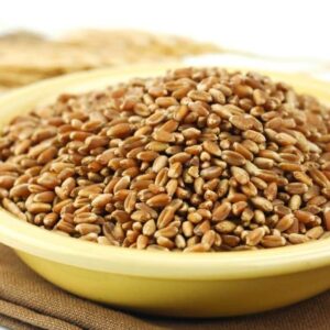 hard red winter wheat