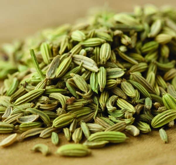 Fennel Seeds-0