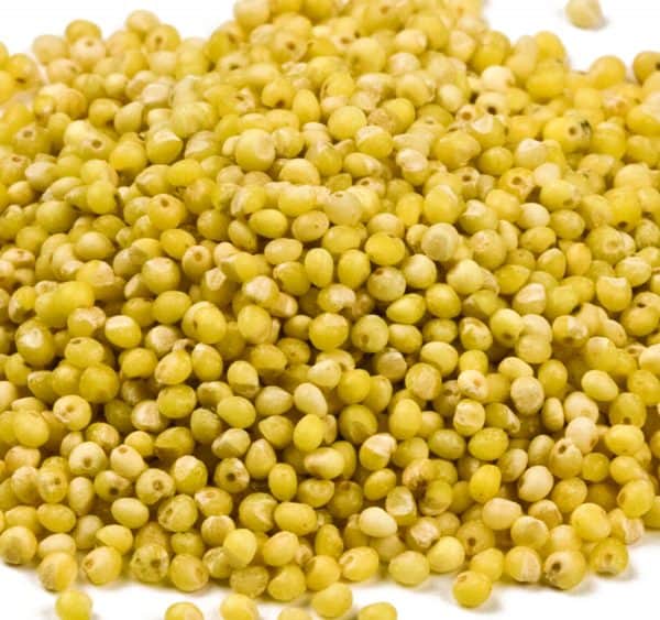 Millet-0