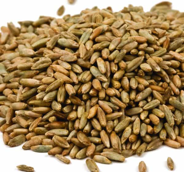 Rye Berries-0