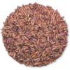Whole Oat Groats -0