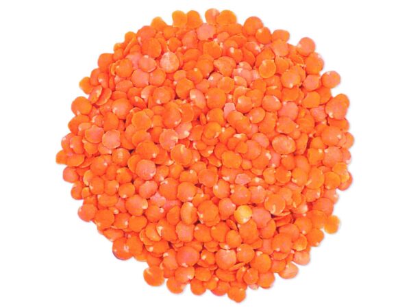 Red Lentils -0