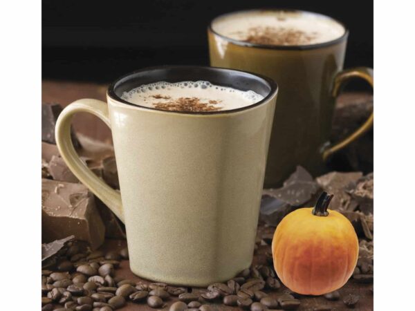 Pumpkin Spice Cappuccino Mix -0