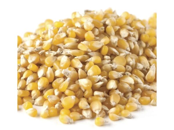 Amish Country Ladyfinger Popcorn-0