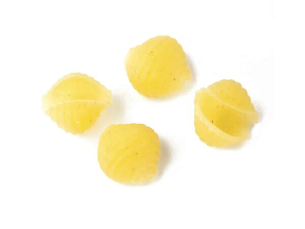 Small Shell Pasta -1609