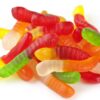 Sugar Free Gummi Worms -0