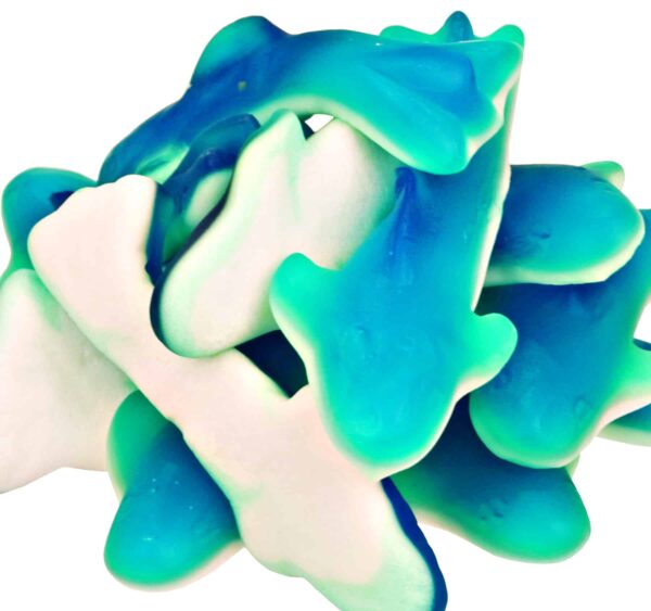 Gummi Blue Sharks-0