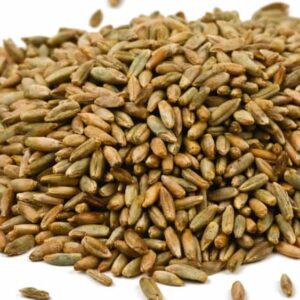 rye berries