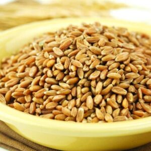 spelt berries