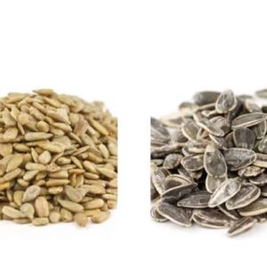 Seeds