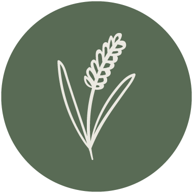 bpfs icon gluten free2